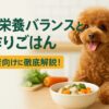 犬の食事