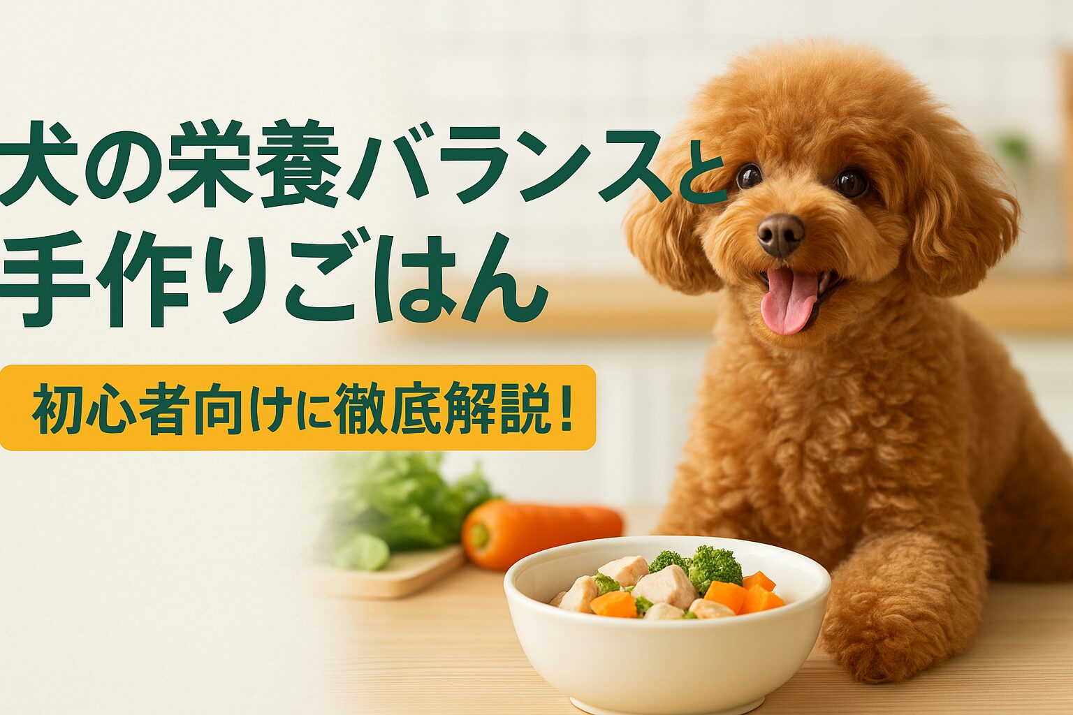 犬の食事