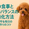 犬の食事