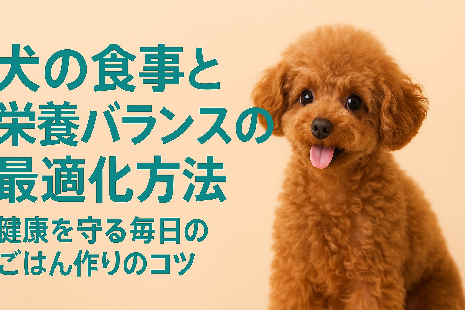 犬の食事