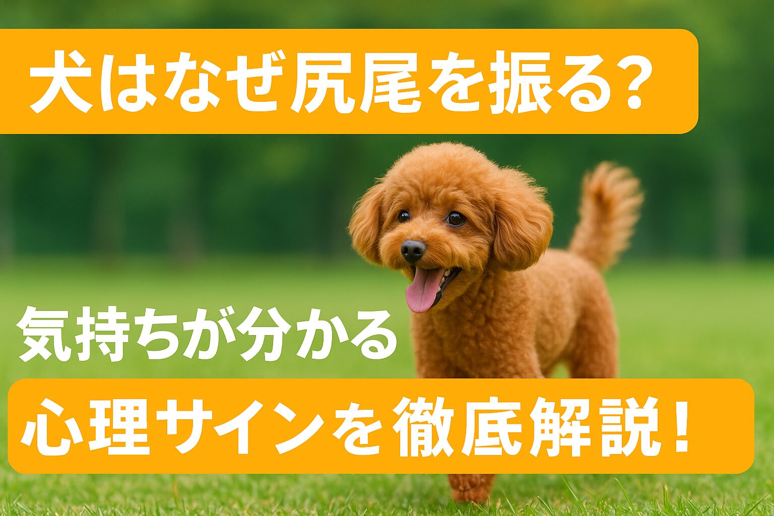 犬がなぜ尻尾ふるのか