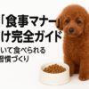 犬のしつけ