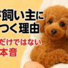 犬のマメ知識