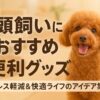 多頭飼い