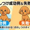 犬のしつけ