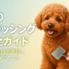 犬ブラッシング