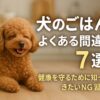 犬のごはん