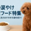 犬の涙やけ