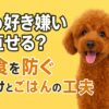 犬の好き嫌い