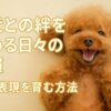 犬との絆
