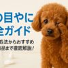 犬の目やに