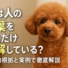 犬の言葉理解できる