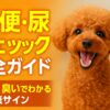 犬の尿