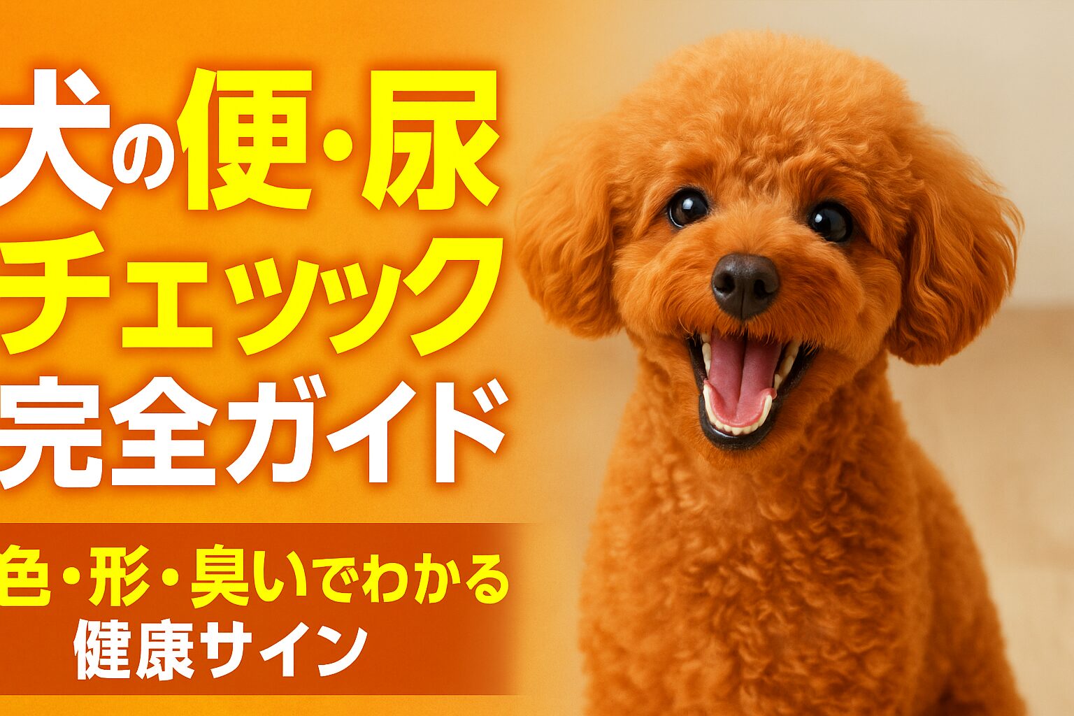 犬の尿
