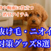 犬の抜け毛対策