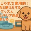 犬グッズ