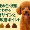 犬の便の色