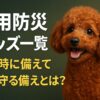 犬の災害防災