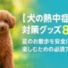 犬の熱中症対策