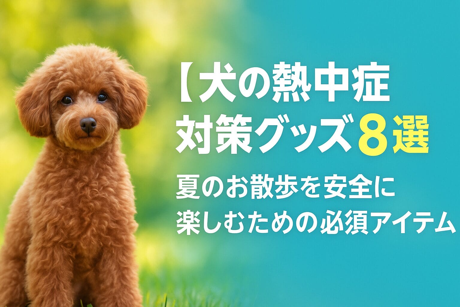 犬の熱中症対策