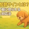 犬の加齢サイン
