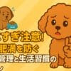 犬の肥満