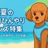 犬の夏対策