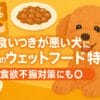 ドックフード