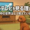 犬の行動
