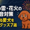 犬雷怖い