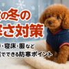 犬の寒さ対策