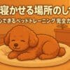 犬の寝かせる場所