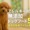 犬のごはん