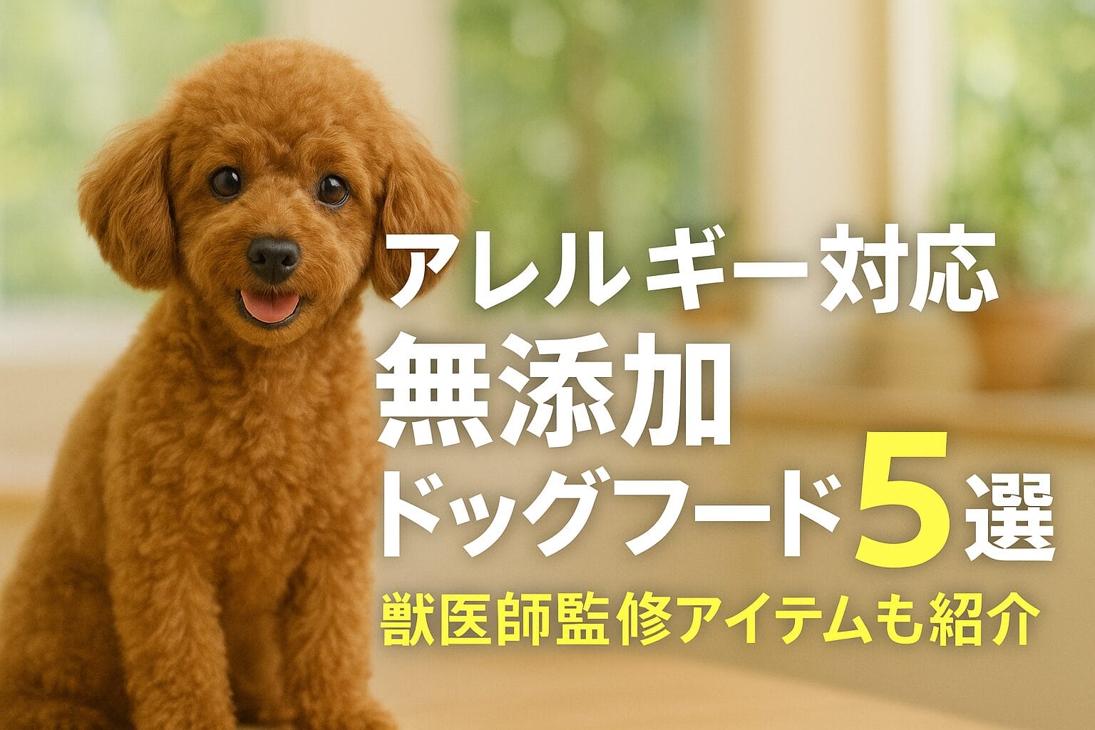 犬のごはん