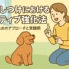 犬のしつけ