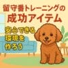 犬の留守番